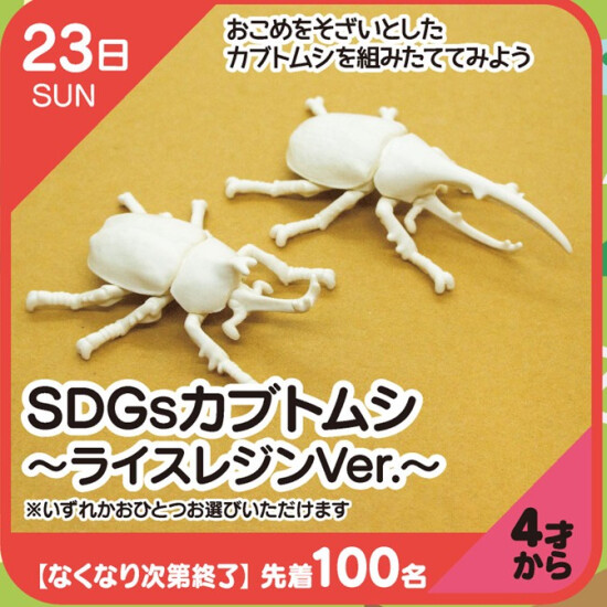 【キッズクラブ】SDGsカブトムシ～ライスレジンVer.～