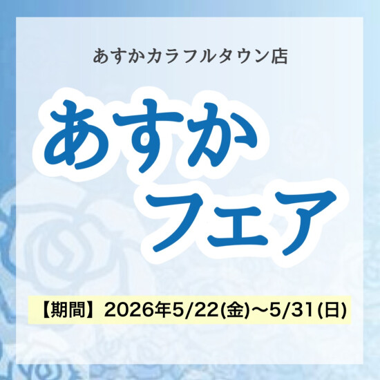 夏のスキンケア対策できていますか？！